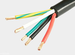 ROJ power cord ends