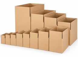 Single Packaging